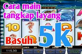 Cara Jatuhkan Random Mega888